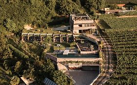 Im Zeitlauf - Life With Nature